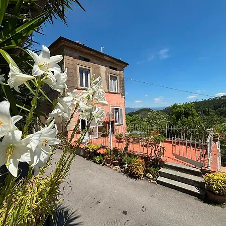 Le Balze Capannori